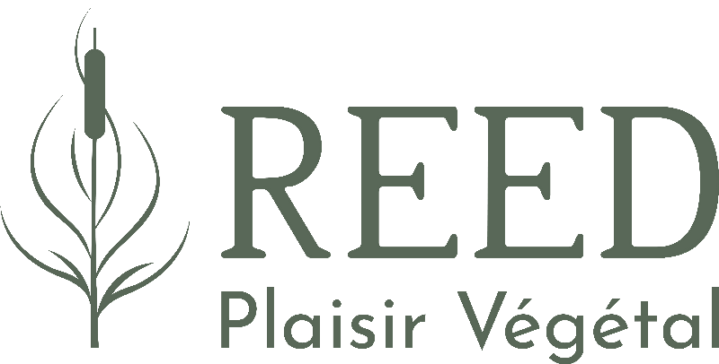 Reed Restaurant